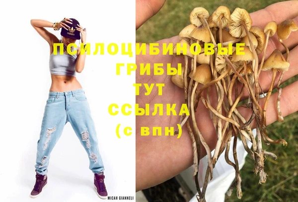 ПСИЛОЦИБИНОВЫЕ ГРИБЫ Аркадак