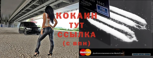 тгк Армянск